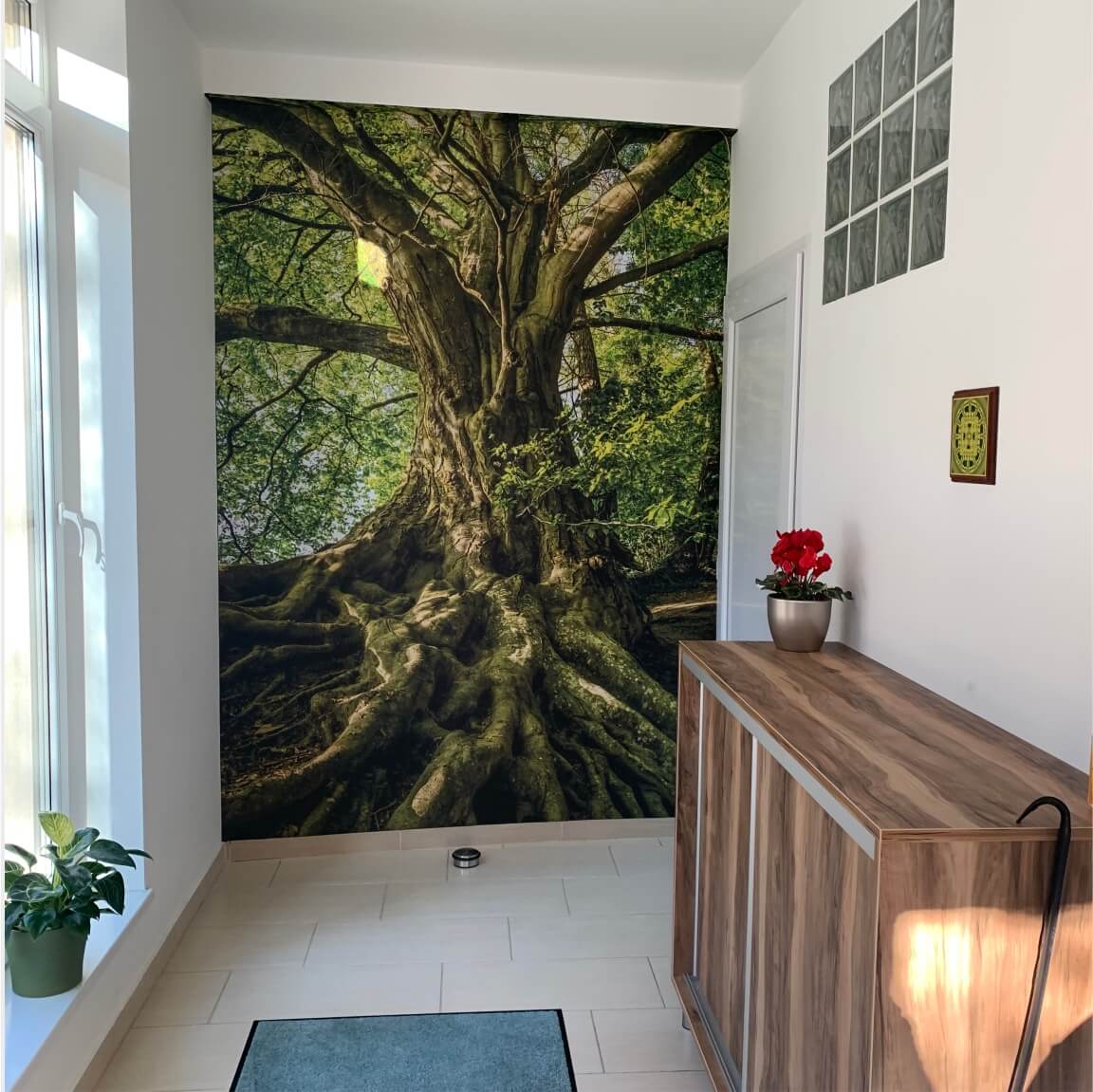 Serenity Yoga Studio felszerelés